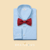 dark red cork bow tie on a light blue dress shirt