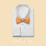 natural cork bow tie on a white dress shirt