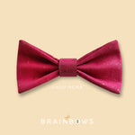 hot pink cork bow tie