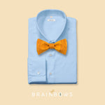 yellow mustard cork bow tie on a light blue dress shirt